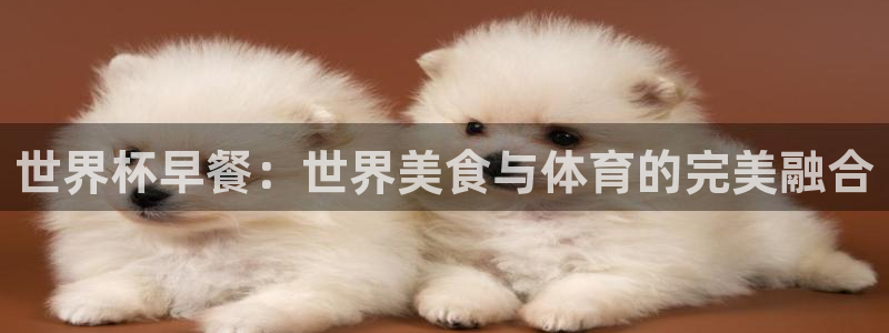 2026世界杯预选赛：世界杯早餐：世界美食与体育的完美融合