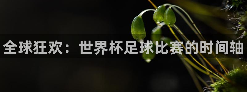 英格兰联赛杯直播：全球狂欢：世界杯足球比赛的时间轴