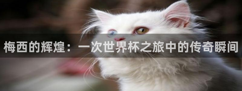 世界杯欧洲区世预赛赛程：梅西的辉煌：一次世界杯之旅中的传奇瞬间