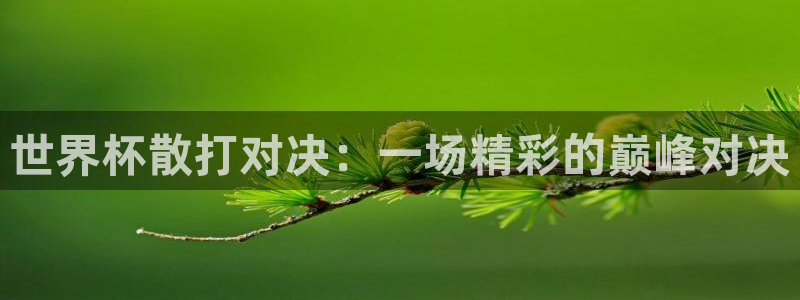 世界杯预选赛欧洲：世界杯散打对决：一场精彩的巅峰对决
