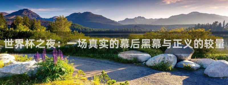 女足世界杯直播在线观看免费高清：世界杯之夜：一场真实的幕后黑幕与正义的较量
