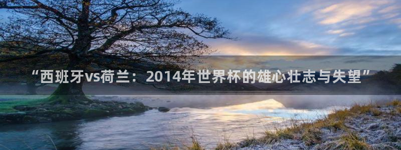 足球杯：“西班牙vs荷兰：2014年世界杯的雄心壮志与失望”