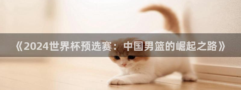 世界杯 赛程：《2024世界杯预选赛：中国男篮的崛起之路》