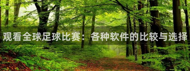 足球世界杯2026年赛程时间表：观看全球足球比赛：各种软件的比较与选择