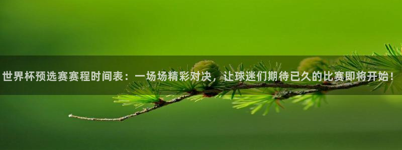 世界杯足球赛2026赛程时间：世界杯预选赛赛程时间表：一场场精彩对决，让球迷们期待已久的比赛即将开始！