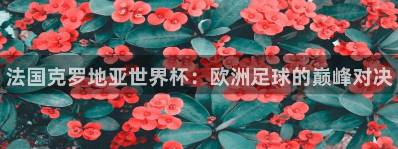 女足世界杯直播：法国克罗地亚世界杯：欧洲足球的巅峰对决