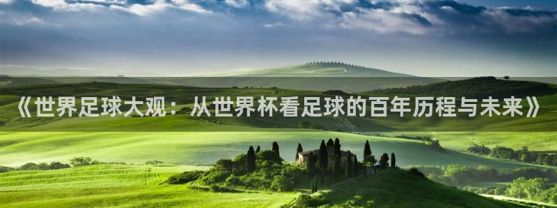 世界杯预赛赛程：《世界足球大观：从世界杯看足球的百年历程与未来》