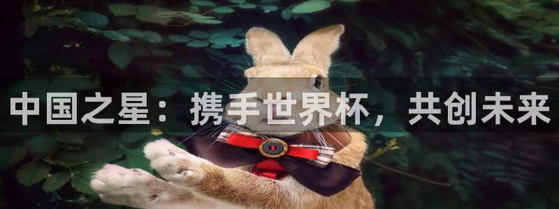 世界杯亚洲预选赛18强赛程：中国之星：携手世界杯，共创未来