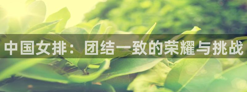世界杯欧洲区赛程：中国女排：团结一致的荣耀与挑战