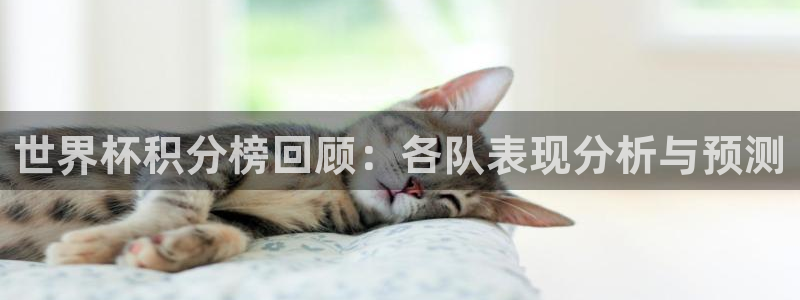世界杯预选赛亚洲区积分榜：世界杯积分榜回顾：各队表现分析与预测